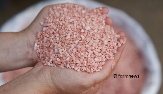 preço do cloreto de potássio