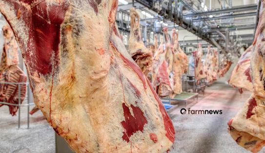 preço de exportação da carne bovina do Brasil