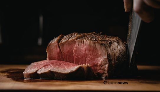 preço da carne bovina nos EUA