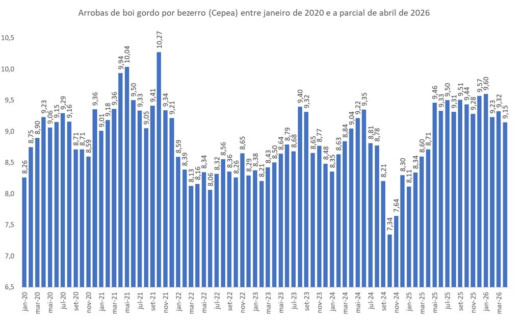 arrobas de boi gordo por bezerro