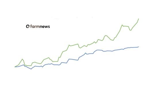 preço do bezerro em arrobas