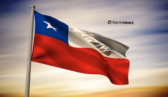 exportação de carne bovina do Brasil para o Chile