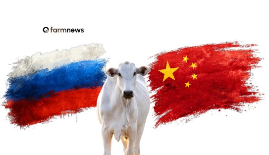 febre aftosa na Rússia