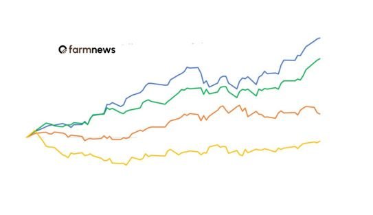 preço em dólares do boi gordo