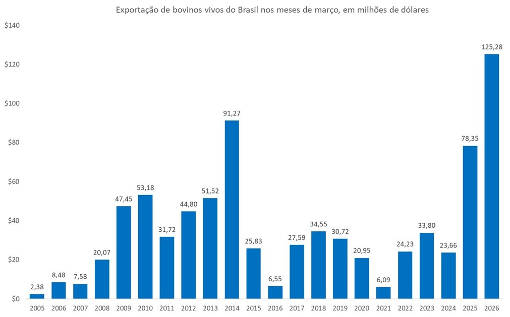 exportação de bovinos vivos