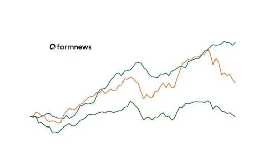 preço futuro do boi gordo