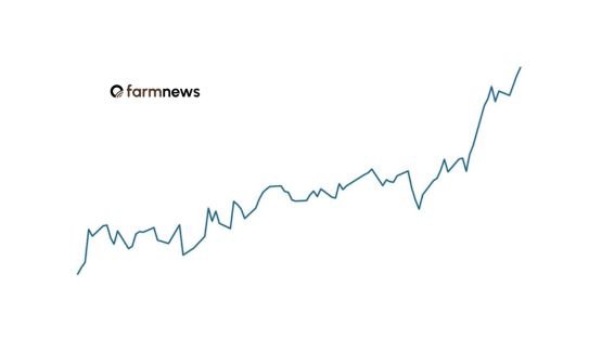 ágio do preço futuro do boi