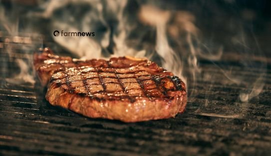 exportação de carne bovina do Brasil para os EUA
