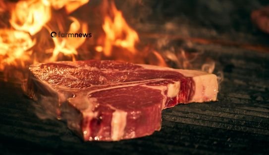 produção mundial de carne bovina