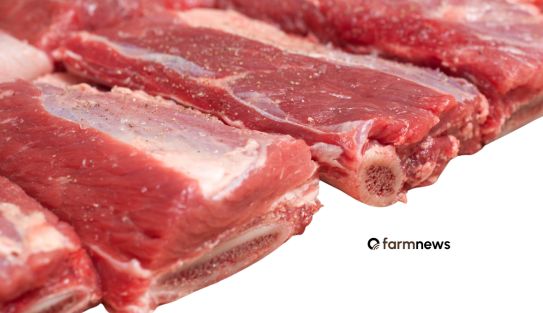 consumo de carne bovina no Brasil