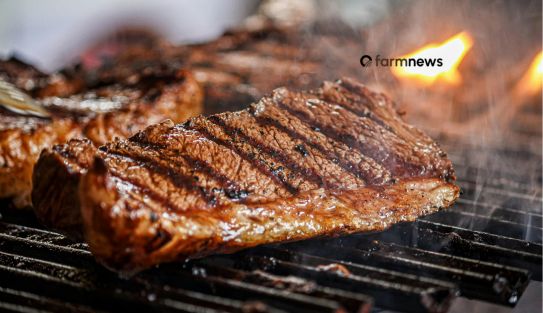 Importação de carne bovina do Brasil pela Argentina mais que dobra no 1° trimestre de 2026