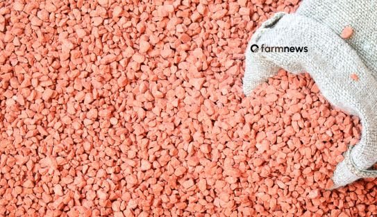 importação de cloreto de potássio