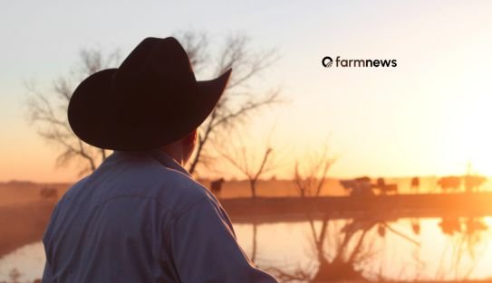 pecuarista pecuarista