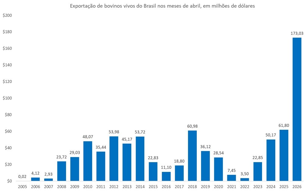 exportação de bovinos vivos