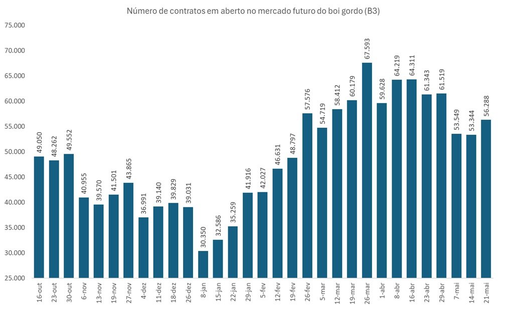 contratos futuros do boi gordo