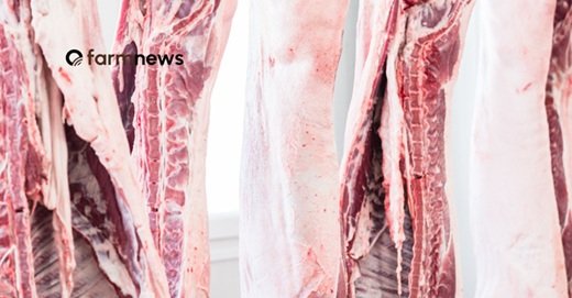 carne bovina