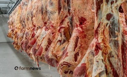 preço da carne bovina exportada