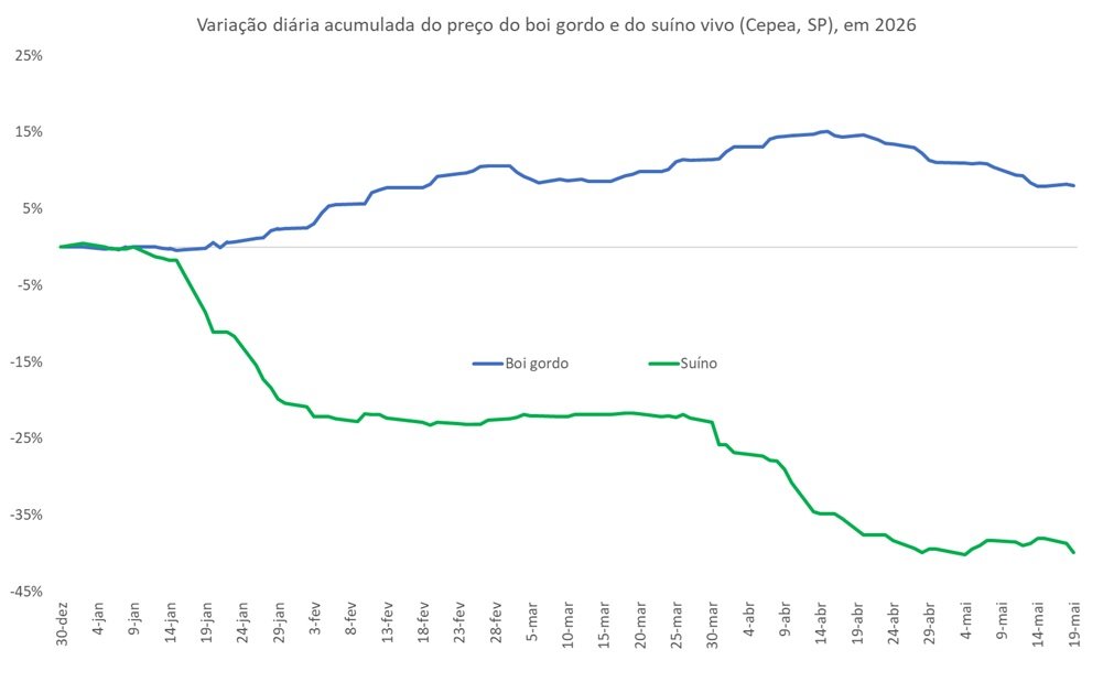 preço do suíno vivo