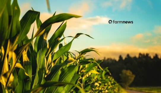best farms