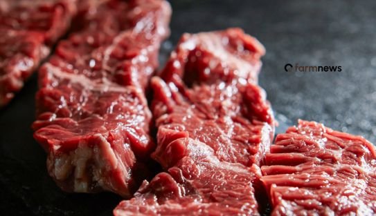 preço da carne bovina do Brasil