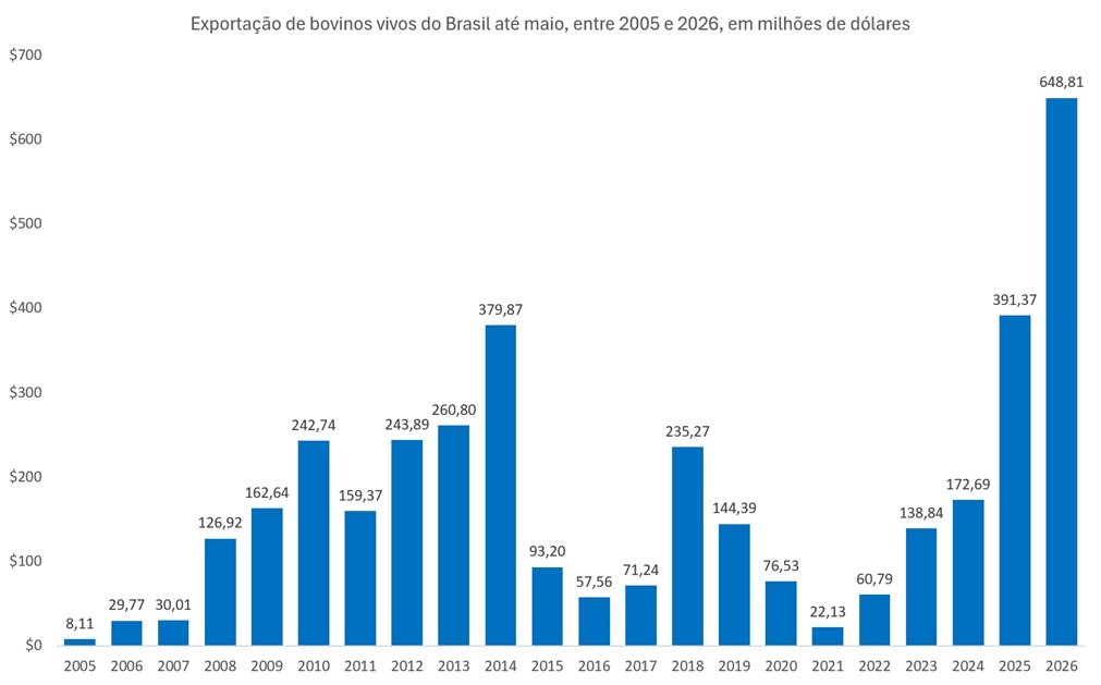 exportação de bovinos vivos