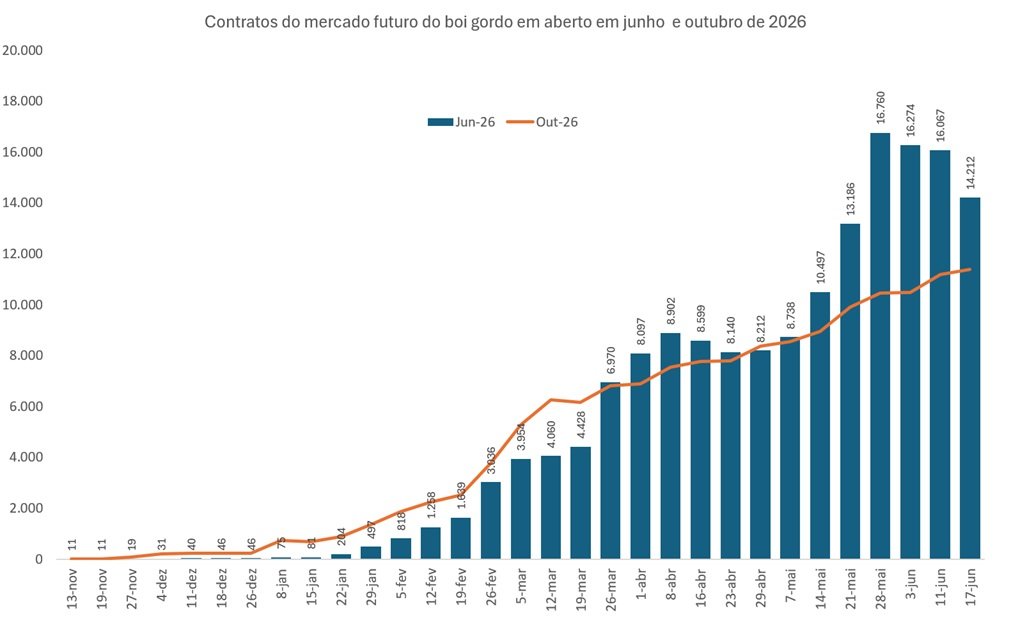 futuro do boi gordo
