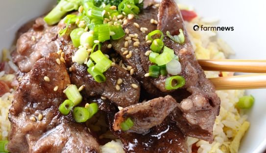 importação de carne bovina do Brasil pela China