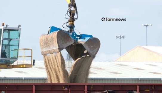 mercado de fertilizantes mercado de fertilizantes