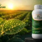 Alfa Nano Brazil