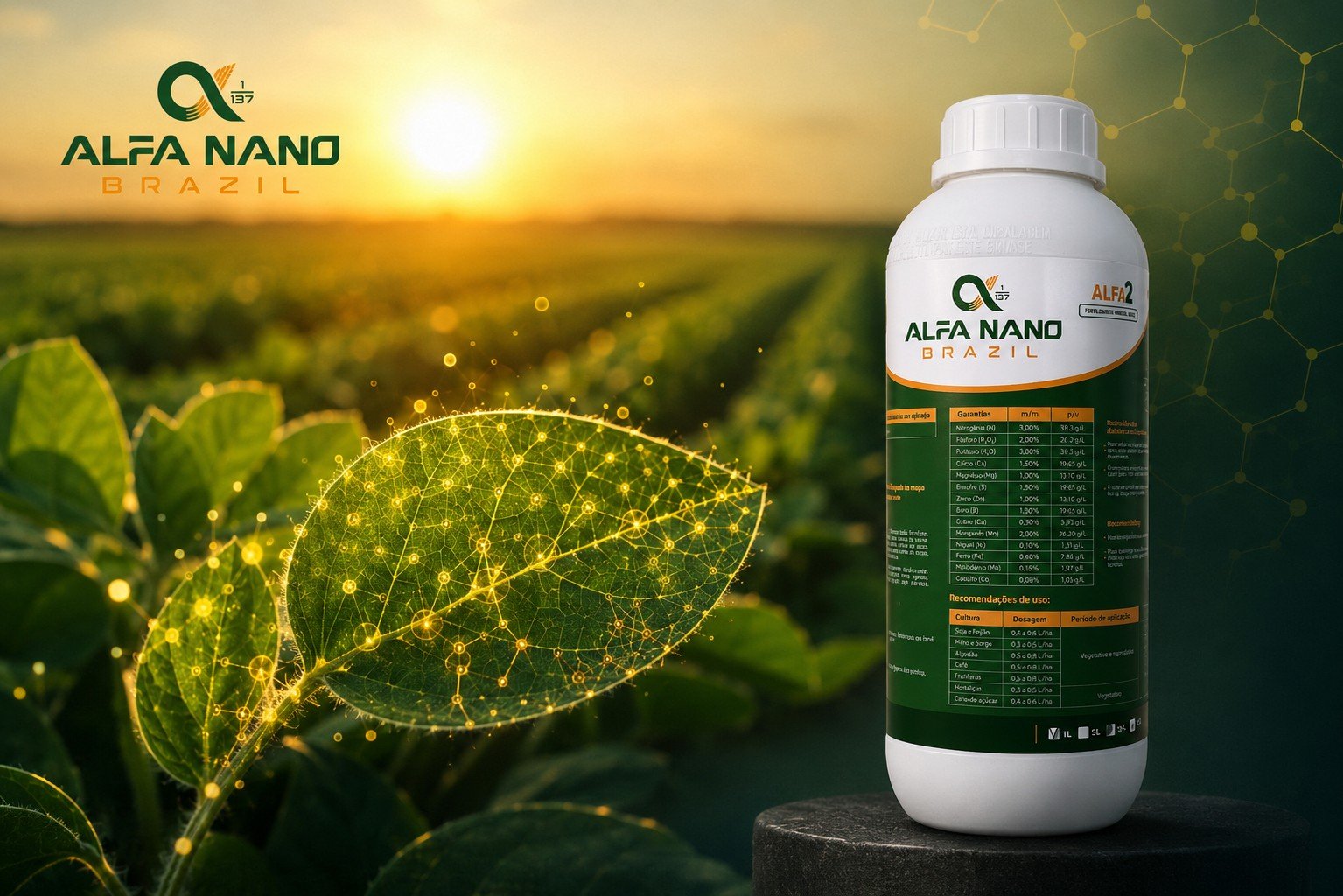Alfa Nano Brazil: um caso de sucesso que está apenas no início…