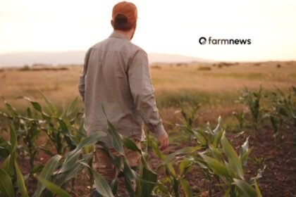 margens agrícolas