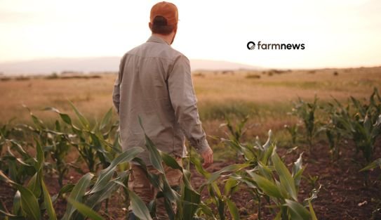 Por que as margens agrícolas continuarão apertadas?