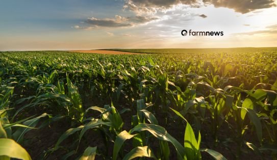 Validação de produto: o Brasil não compra promessas, compra evidências!