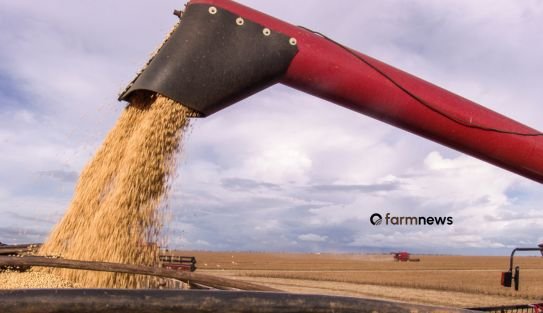 preço futuro da soja