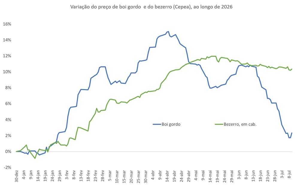 preço do bezerro