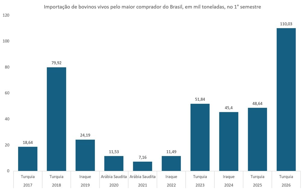 maiores importadores de bovinos vivos