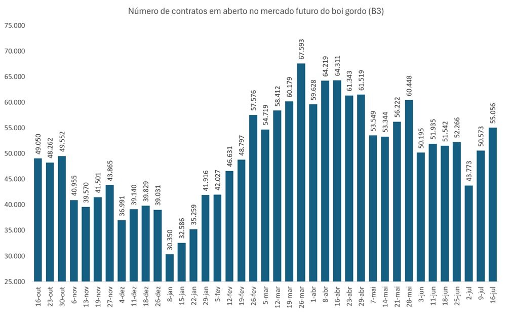 futuro do boi