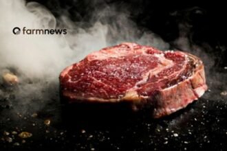 preço da carne bovina