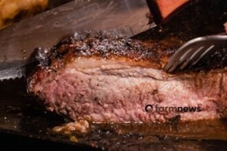 preço da carne bovina nos EUA