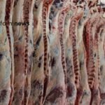 embarque de carne