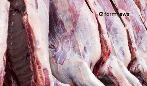 carne bovina do Brasil para a China