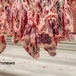 preço da carne bovina nos EUA