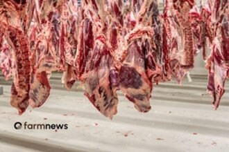 preço da carne bovina nos EUA