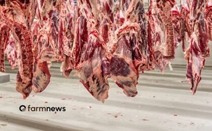 preço da carne bovina nos EUA