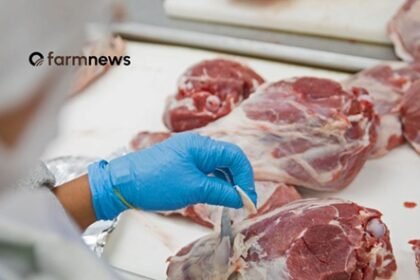 carne bovina do Brasil para os EUA