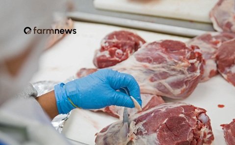 carne bovina do Brasil para os EUA