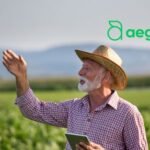 aegro