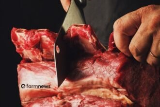 receita de exportação de carne bovina