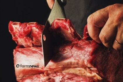 receita de exportação de carne bovina