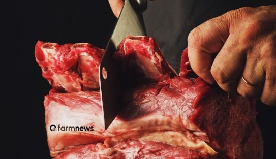 receita de exportação de carne bovina